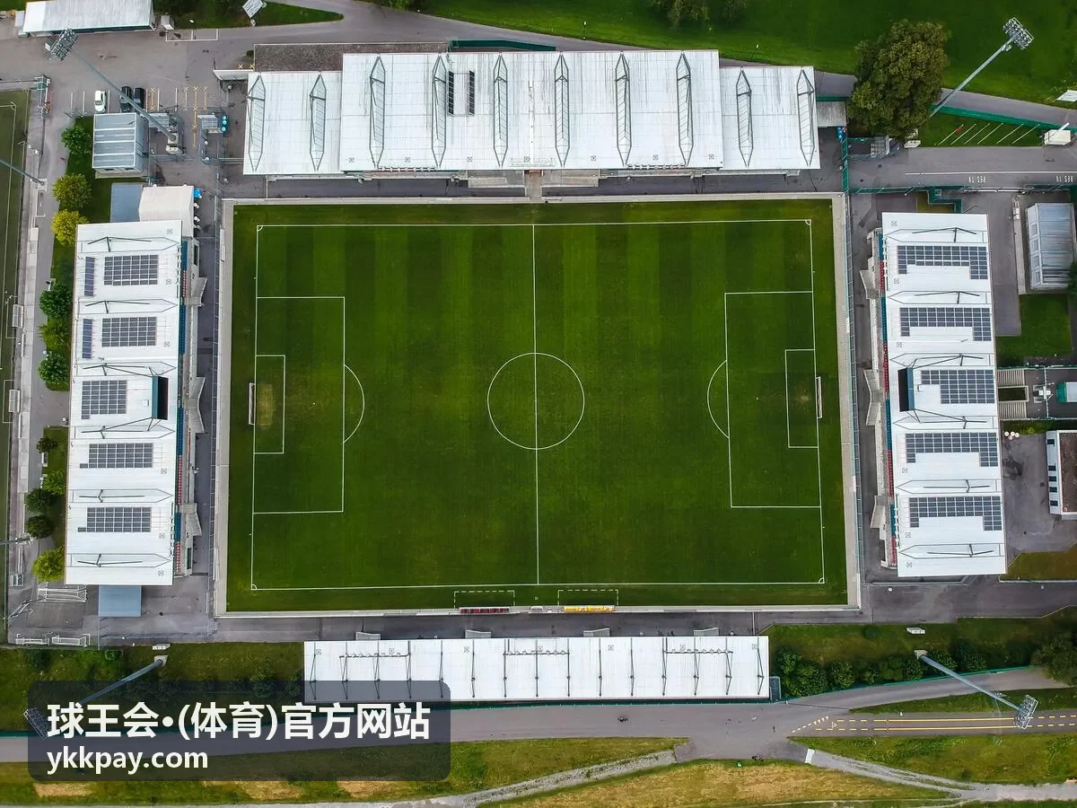球王会·体育官方网站赛后音乐现场图